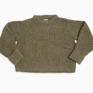 James street co. Chunky Lowe pullover NWT